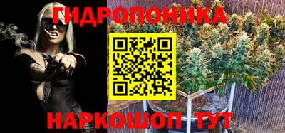 хмурый Моздок