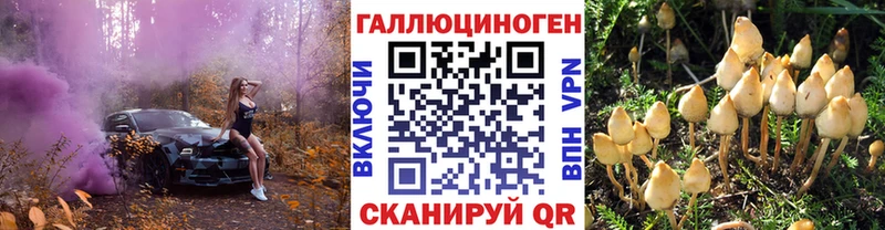 Псилоцибиновые грибы мицелий Ефремов