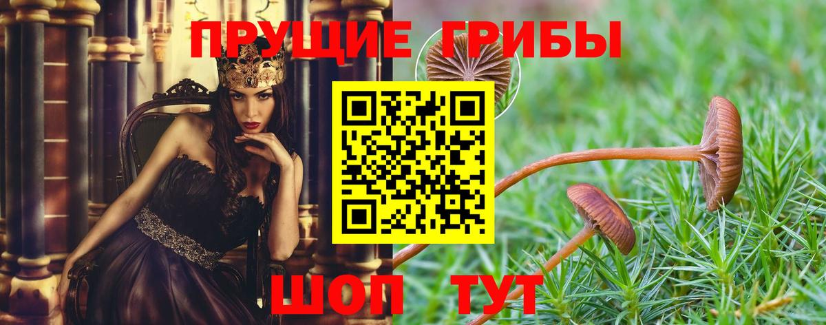Галлюциногенные грибы Cubensis Ефремов