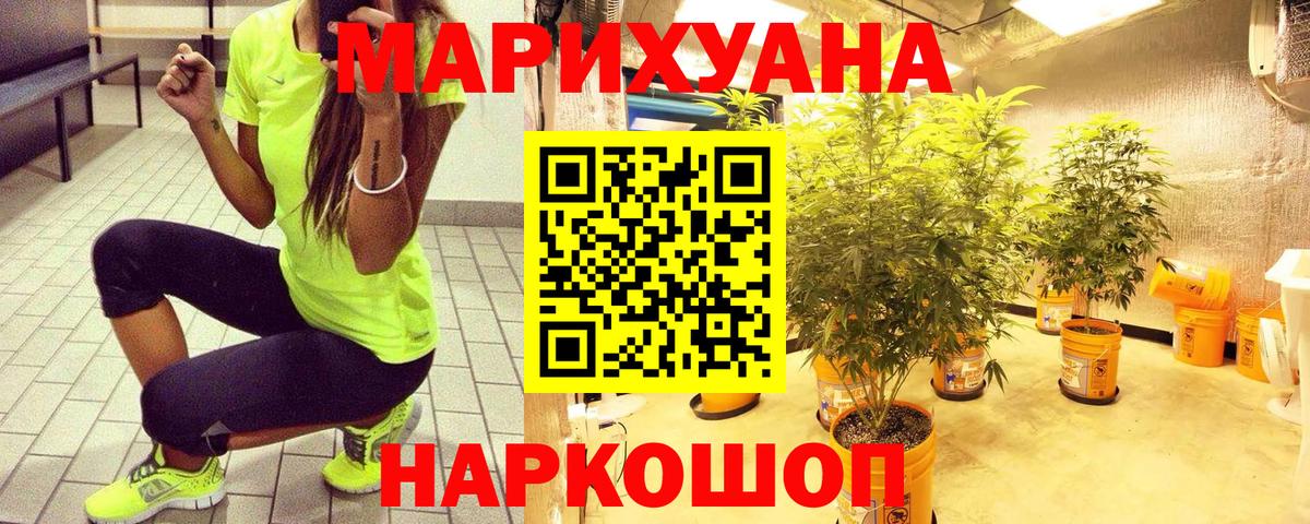 Бошки марихуана сатива Ефремов
